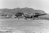 Caribou landing at LZ Cindy