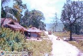 Convoy Leaving Pleiku, LZ Cindy